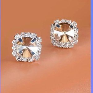 Irandecent Post Earrings